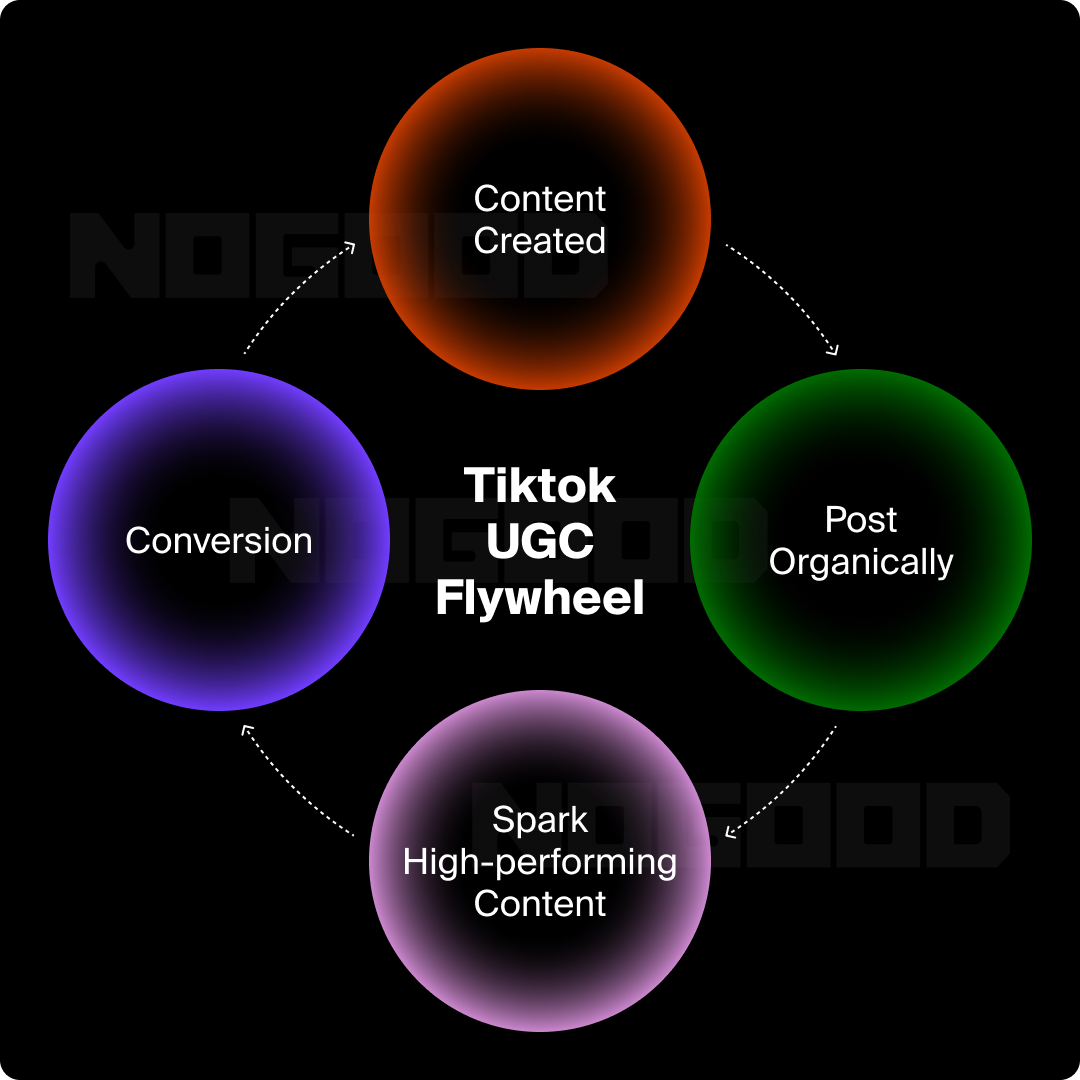 Graphic illustrating the TikTok UGC Flywheel